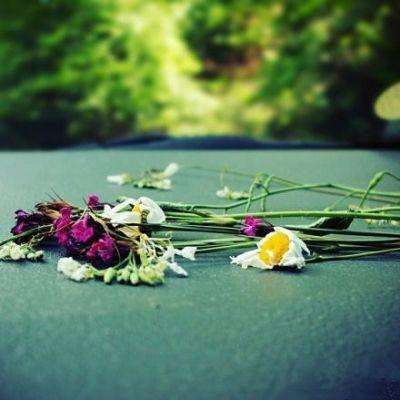 竞彩足球appapp下载