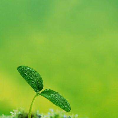 BET365正版唯一官网绿色