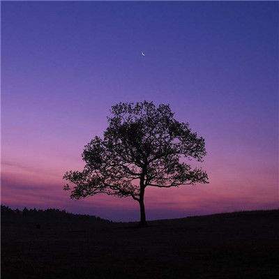 金沙乐娱场app下载app下载