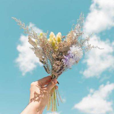 帝一娱乐app下载